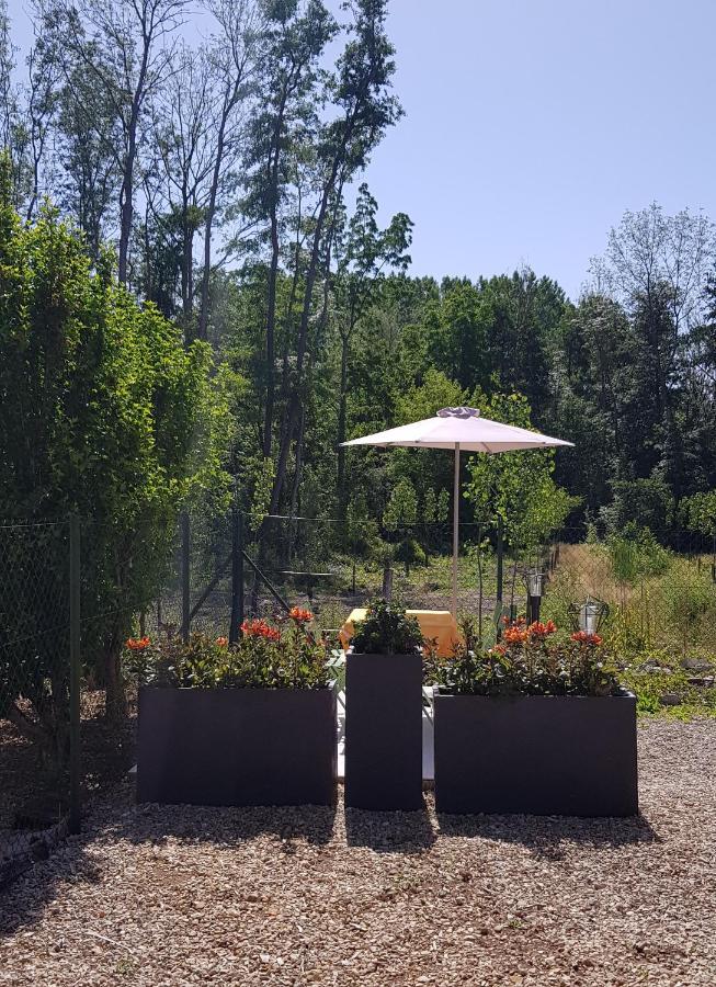 Agreable Petite Maison Proche Joigny Chamvres Екстериор снимка